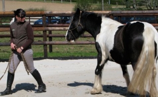  布瓦德马耶讷的动物行为学课程